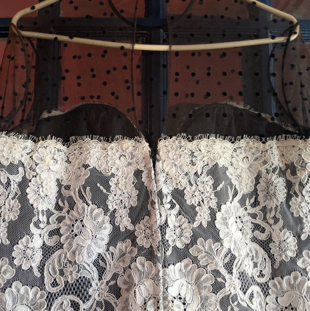Chris Kole 90s vintage goth cupcake lace and netting dress - Picture 5 of 13